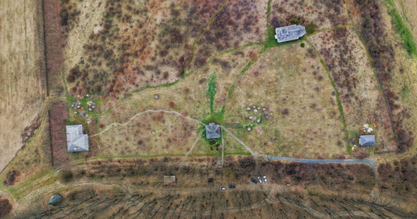 Codrii Vlăsiei, protejați prea târziu: pădurea uriașă a devenit un petic de verdeață. Zona va face parte din Centura Verde a Capitalei. 1 video codrii vlasiei protejati prea tarziu padurea uriasa a ajuns un petic de verdeata zona va fi parte din centura verde a capitalei 6900b56eed20f