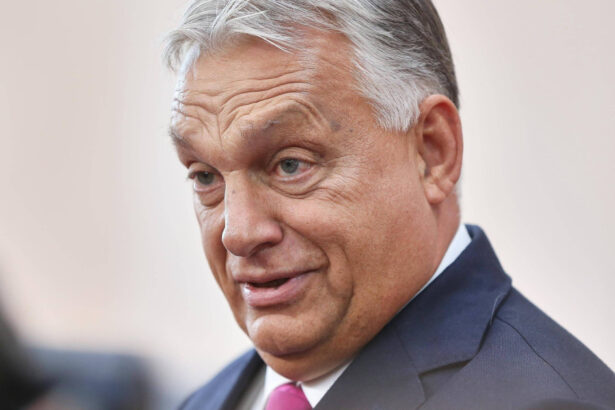 video cum cumpara influenta in romania premierul ungar viktor orban 18 milioane de euro pentru companii din transilvania snoop 68f901441bf44