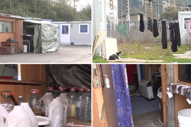 video drama oamenilor din aninoasa mutati in containere si uitati acolo cum arata viata in 20 de mp edil viata te incearca in tot felul 69004f1a3e812