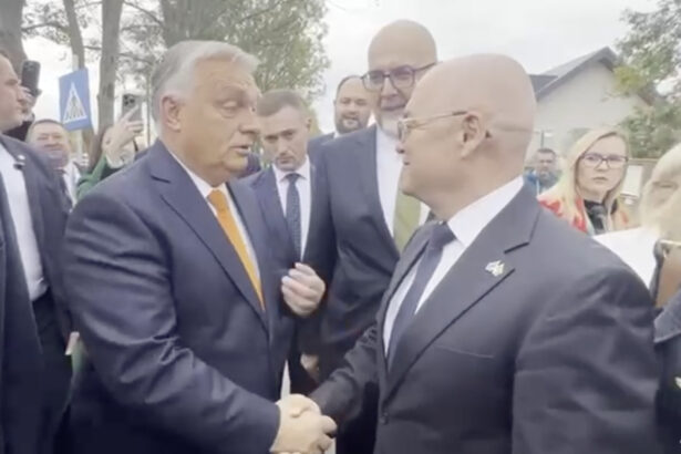 video emil boc a dat din coate sa ajunga la viktor orban dupa congresul udmr simtiti va liber sa veniti oricand la usa mea 68ea192c117e8