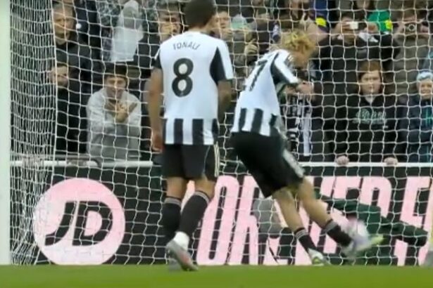 video exclusiv asa arata penalty ul perfect care iti rupe glezna cum a comentat costel pantilimon reusita rarisima din premier league 68e65de7d3380