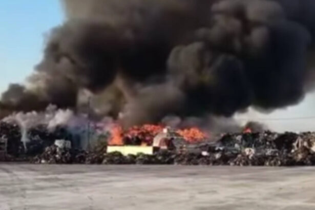 video incendiul din judetul prahova departe de a fi stins flacarile se manifesta pe o suprafata de peste 3 000 de metri patrati 68fb41d570c82
