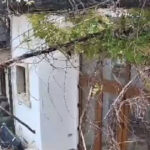 video momentul in care vantul puternic doboara un copac peste o casa in bucuresti 68dfd86b5ab74