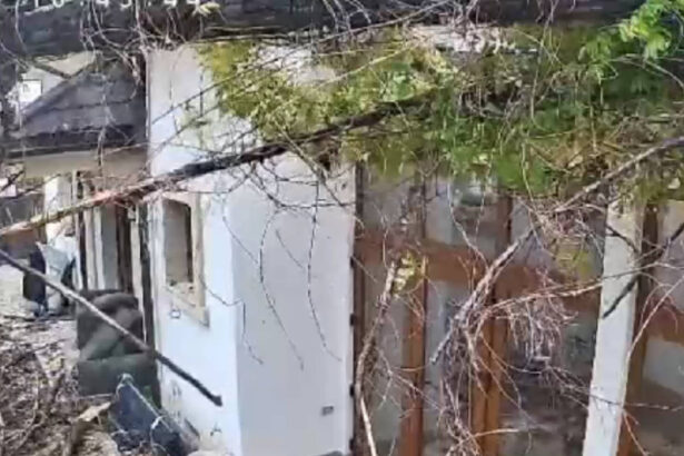 video momentul in care vantul puternic doboara un copac peste o casa in bucuresti 68dfd86b5ab74