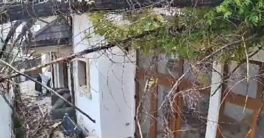 video momentul in care vantul puternic doboara un copac peste o casa in bucuresti 68dfd86b5ab74