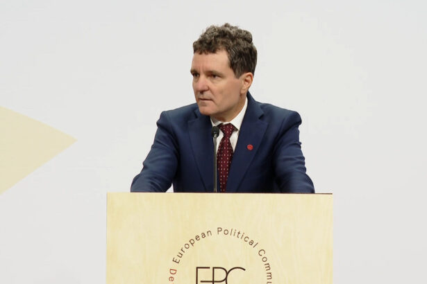 video nicusor dan despre raportul facut de parchet privind anularea alegerilor liderii europeni mi l au cerut sa l citeasca in avion 68dea0777bf59