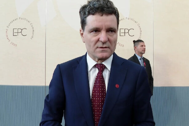 video nicusor dan explica liderilor ue cum a influentat rusia alegerile o sa vorbesc despre incercarile gruparii potra de destabilizare 68de63df7bf36