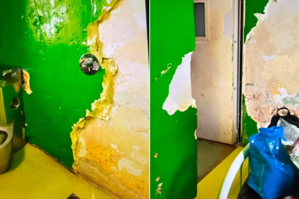 video pereti decojiti si conditii precare in sectia de psihiatrie din drobeta turnu severin reactia spitalului 68e3bea05a649