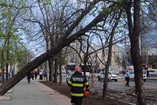 video pompierii de la isu bucuresti ilfov au avut 36 de interventii in urma vantului puternic 23 de masini au fost avariate 68df6b7c84e09
