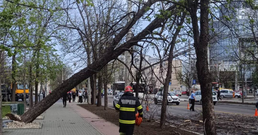 video pompierii de la isu bucuresti ilfov au avut 36 de interventii in urma vantului puternic 23 de masini au fost avariate 68df6b7c84e09