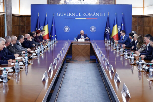 video purtatoarea de cuvant a guvernului in principiu salariul minim nu va creste de anul viitor 68f0df958cda7