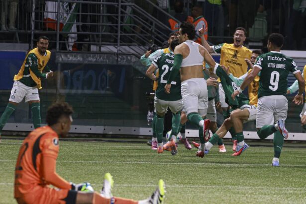 video remontada senzationala si calificare in finala copa libertadores dupa un penalty in ultimele minute 69046a1094ccd