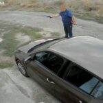 video update a fost amendat individul care a tras cu un pistol cu bile intr un caine in palazu mare dus la audieri 68dd01e7372ce