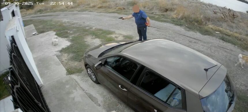 video update a fost amendat individul care a tras cu un pistol cu bile intr un caine in palazu mare dus la audieri 68dd01e7372ce