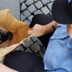 zeci de cazuri de cruzime fata de animale la constanta 19 dosare penale si peste 45 de caini si pisici salvate 68e9810414cd1