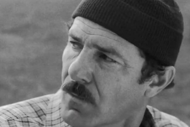 a murit actorul virgil andriescu 6920c9e441d86