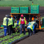 acord provizoriu in ue pentru sectorul agricol fermierii ar putea economisi pana la 16 miliarde de euro pe an 691342a6eb2a4