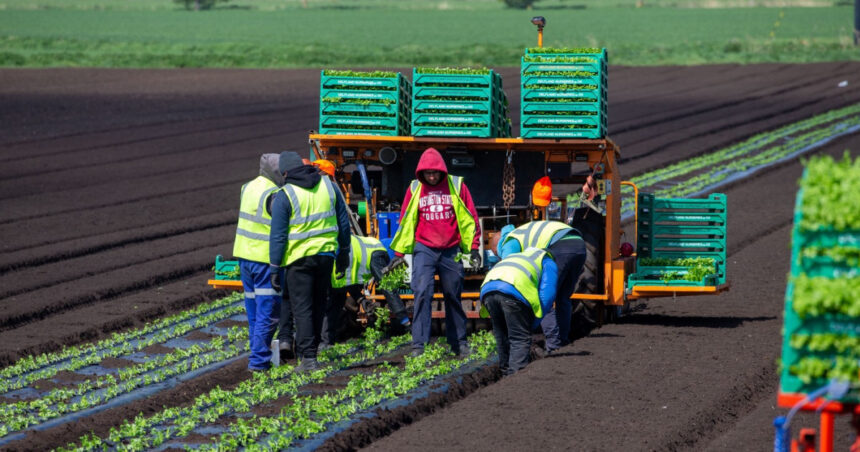 acord provizoriu in ue pentru sectorul agricol fermierii ar putea economisi pana la 16 miliarde de euro pe an 691342a6eb2a4
