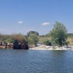 agricultorii au invins turismul la mahmudia instanta a hotarat definitiv refacerea digului desi acesta a dus la dezvoltarea zonei 690e8bd5a1eba