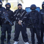 analiza ce au in comun dani mocanu alina bica ionel arsene si mario iorgulescu cum ar putea scapa manelistul de executarea pedepsei 69135b9a0805d