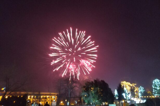 aproximativ 50 000 de euro pentru revelionul 2026 la constanta smiley cap de afis 691e51682c047