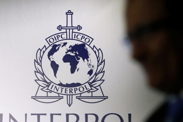 au reinceput escrocheriile in numele interpolului mai multi constanteni au primit e mailuri ca sunt cercetati ce spun autoritatile 69165d988b242