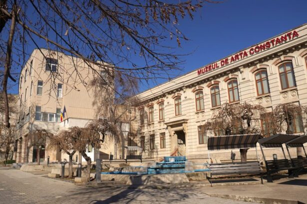 calatoria expozitie de pictura mirela dimcea la muzeul de arta constanta 690f1f3d1e270