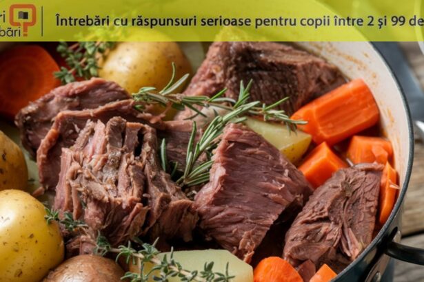 cand au inceput oamenii sa manance carne pentru prima oara 692b7dfab2713