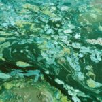 ce fenomen a intarziat oxigenarea pamantului cu un miliard de ani 690b707577d5c