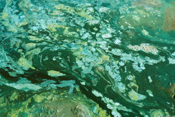 ce fenomen a intarziat oxigenarea pamantului cu un miliard de ani 690b707577d5c