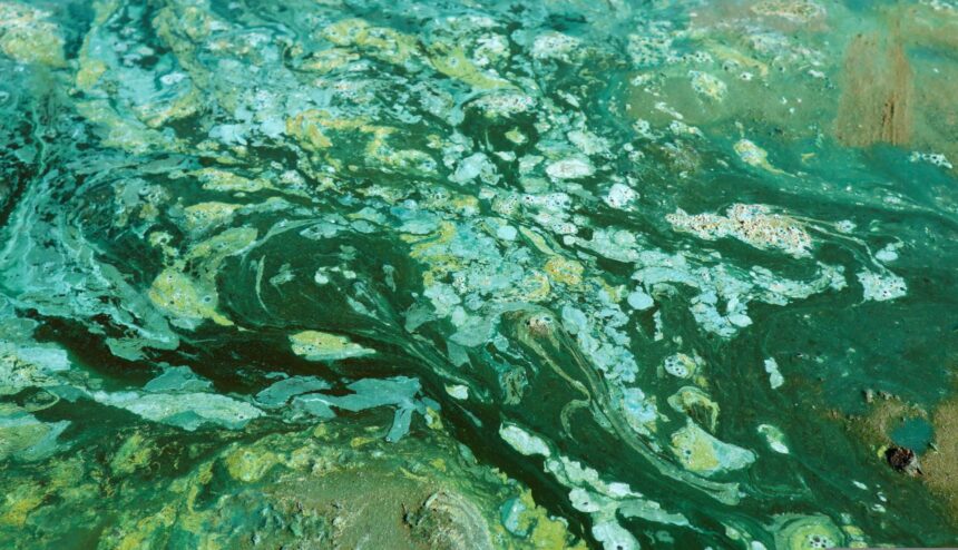 ce fenomen a intarziat oxigenarea pamantului cu un miliard de ani 690b707577d5c