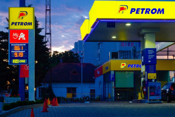 concedieri la omv petrom grupul vrea sa faca economii de 150 de milioane de euro cati angajati vor fi dati afara 690c72ed59d97