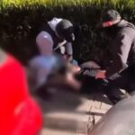 condamnare in dosarul barbatului prins in flagrant cand cumpara 22 kilograme de canabis pe bulevardul 1 decembrie 1918 691f9ccd17f2f