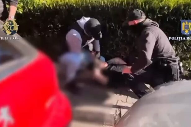 condamnare in dosarul barbatului prins in flagrant cand cumpara 22 kilograme de canabis pe bulevardul 1 decembrie 1918 691f9ccd17f2f