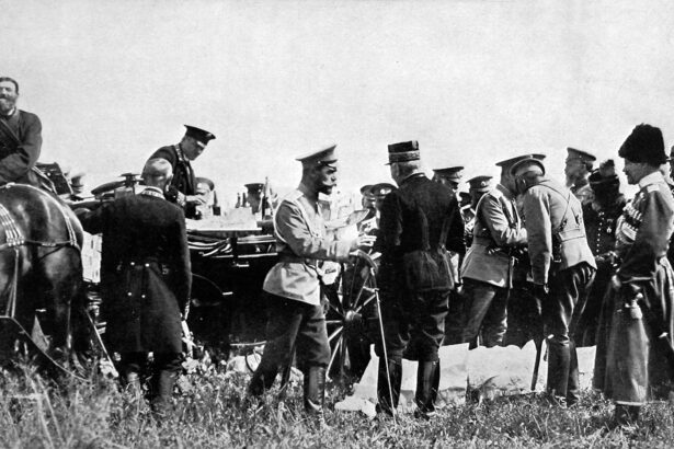 cum s au schimbat aliantele militare din europa in doar 20 de ani drumul catre primul razboi mondial 691c93fbcdf81