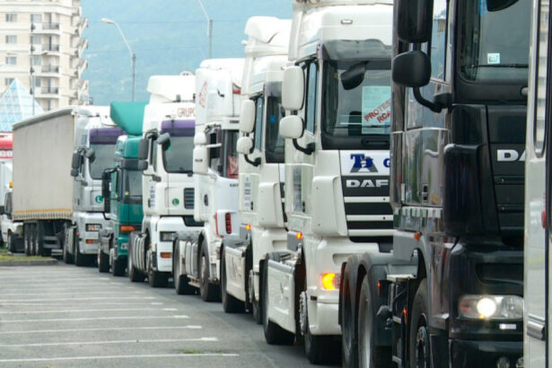 cum sunt afectati transportatorii de cresterea accizelor economist nu putem compensa prin taxe o colectare slaba 690c314932a66