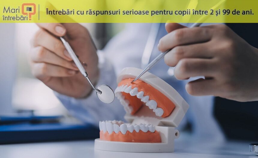 de ce dintii nu sunt oase 690685dbf2195