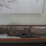 de ce mumiile preistorice din desertul atacama aveau creierul foarte mic 692959a0079bc