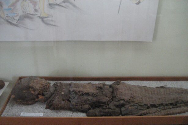 de ce mumiile preistorice din desertul atacama aveau creierul foarte mic 692959a0079bc