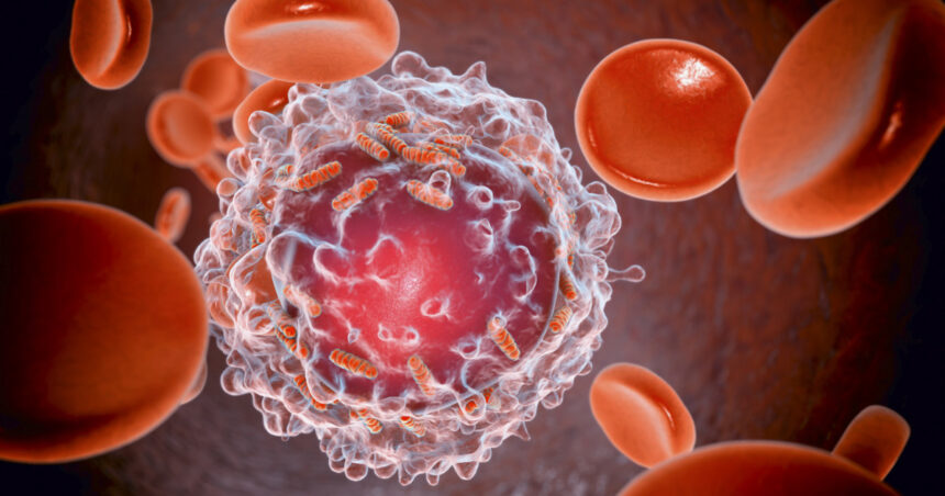descoperire majora cercetatorii au reusit sa elimine complet leucemia in modele preclinice 690621c10ba2b
