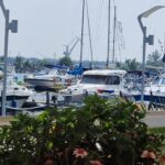 document doua terenuri trec din domeniul public in cel privat la mangalia firma tonomat star vizata in dosarul de coruptie al primarului suspendat radu cristian principalul beneficiar 69278be04bc14