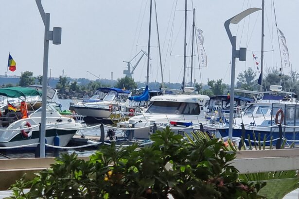 document doua terenuri trec din domeniul public in cel privat la mangalia firma tonomat star vizata in dosarul de coruptie al primarului suspendat radu cristian principalul beneficiar 69278be04bc14