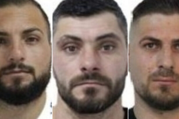 doi dintre ucigasii omului de afaceri sibian adrian kreiner condamnati pe viata al treilea primeste 30 de ani de inchisoare 69133f7a0a3d9