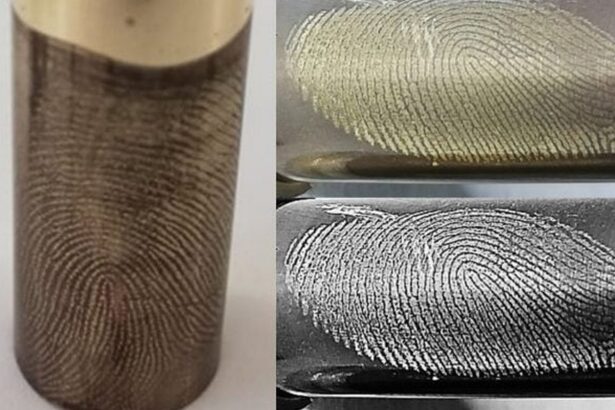 doi oameni de stiinta din irlanda au reusit imposibilul 6911c8aee44ff