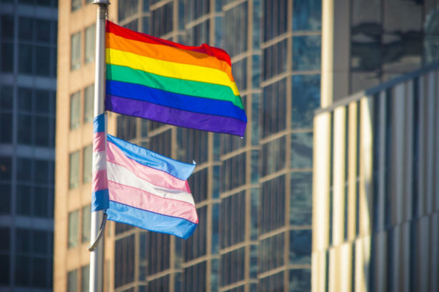 drepturile lgbtq pe agenda comisiei europene o initiativa civica cere interzicerea practicilor de conversie in ue 691cb8ee2be36