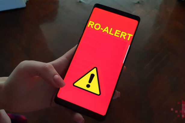 este alerta la granita romaniei o drona s a prabusit pe teritoriul tarii noastre militarii cerceteaza zona 6912fdb08d071