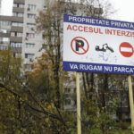 exclusiv buzoianu despre taierile ilegale din parcuri mult timp autoritatile au inchis ochii in fata milionarilor care construiau blocuri 69276f2454ed7