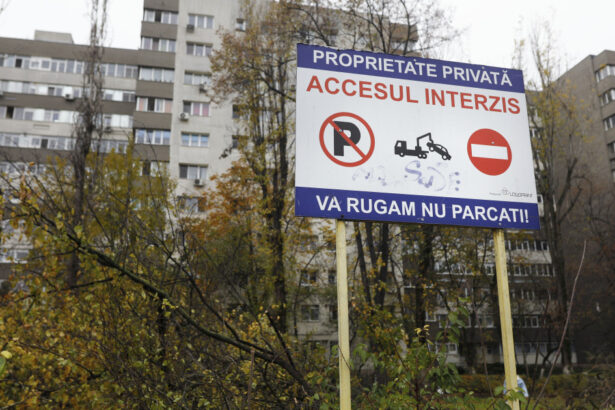 exclusiv buzoianu despre taierile ilegale din parcuri mult timp autoritatile au inchis ochii in fata milionarilor care construiau blocuri 69276f2454ed7