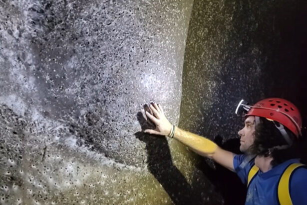 exclusiv ceva extraterestru cea mai mare panza de paianjen din lume descoperita de un cercetator roman in europa cum explica el fenomenul 69144e570e7f5