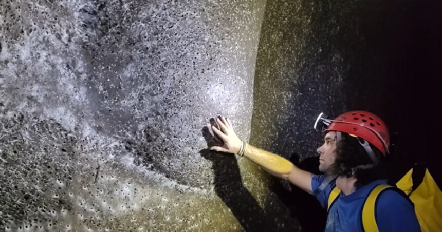 exclusiv ceva extraterestru cea mai mare panza de paianjen din lume descoperita de un cercetator roman in europa cum explica el fenomenul 69144e570e7f5